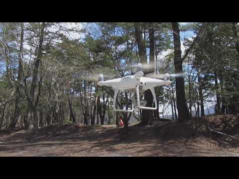 身延空中散歩～富士川クラフトパークの紅葉～