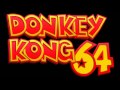 Staff Credits Donkey Kong 64