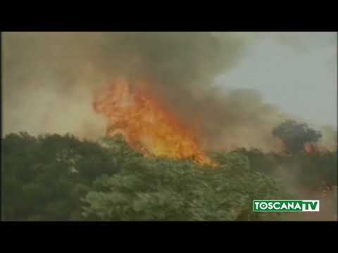 2017-08-31 PISTOIA - AVREBBE APPICCATO SETTE ROGHI, DENUNCIATA VIVAISTA