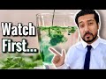 Drinking Chlorophyll Benefits | Bizarre Side Effect of Liquid Chlorophyll
