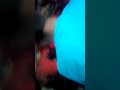 Udu Uduma Tala Gotama