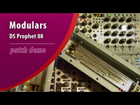 DSI Prophet-08 "Modulars" by Chronos