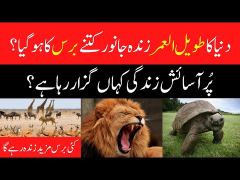 World's oldest recorded animal is tortoise he turns 190 years old