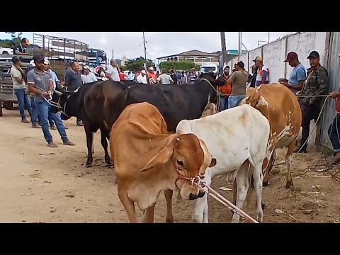 FEIRA MUITO BOA NO POSTO AUTO DA SERRA PARANATAMA PE .07 de dezembro de 2025