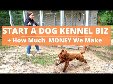 Start a Dog Kennel Business- HOW MUCH WE ARE MAKING! & Ups and Downs...