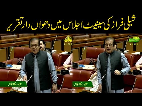 PTI Leader Shibli Faraz Speech In Senate Session