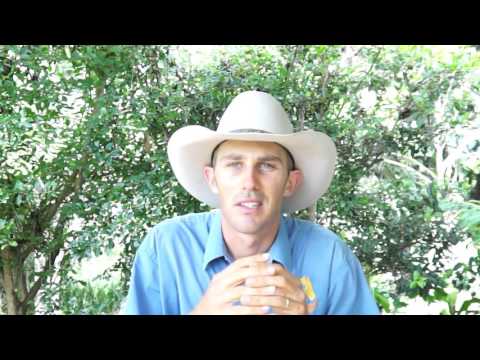The importance of preparation in horse training The importance of preparation in horse training