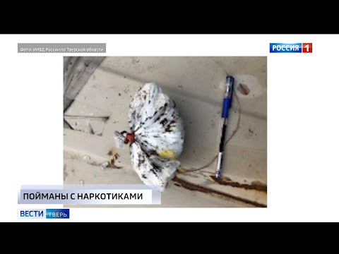 Происшествия в Тверской области сегодня | 6 августа | Видео