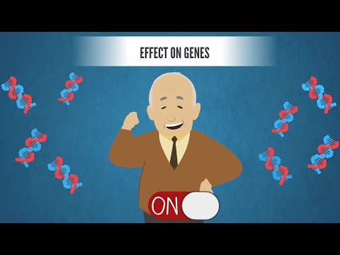 The NIH Common Fund 4D Nucleome Program