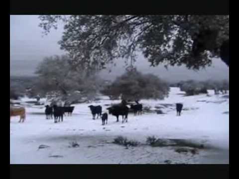 Mata de Alcántara: nevada 10 01 2010.