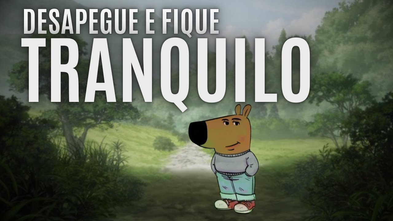 SEJA UM CARA TRANQUILO ... busque o essencial e livre-se dos exageros