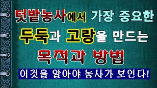 [텃밭농부.913]  두둑과 고랑을 만드는 목적과 방법 #텃밭농사 #귀농귀촌