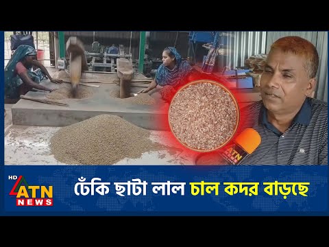 ঢেঁকি ছাটা লাল চাল কদর বাড়ছে | Red Rice | Dheki | ATN News