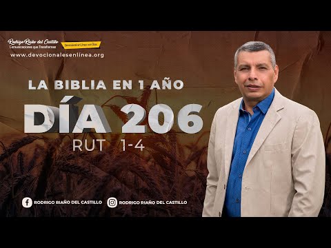 LA BIBLIA EN UN AÑO/Día 206    Rut: 1-4