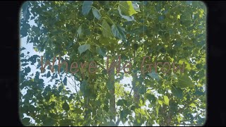 Where We Grow and Where We Live