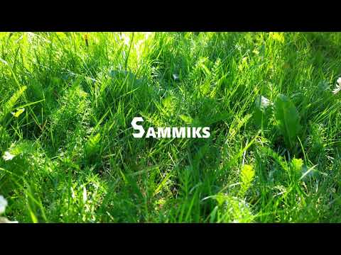 Sammiks - Summer Sun