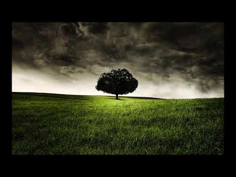 Pems & Pumpshot "Blechkleid" (2015)