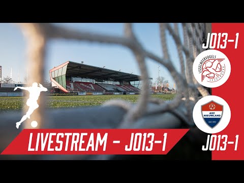 IJsselmeervogels JO13-1 - ASC Nieuwland JO13-1 (Livestream)