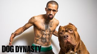 Hulk Ink - The World’s Biggest Pitbull Tattoo | DOG DYNASTY