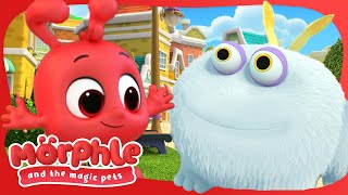 Morphle's New Pal | Available on Disney+ and Disney Jr