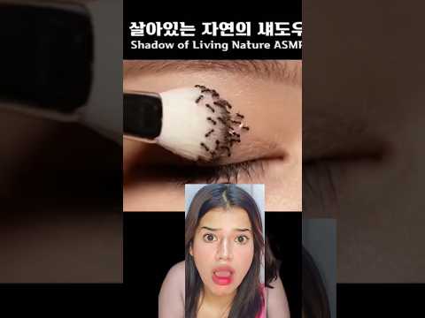 "Real Ant makeup ....Shocked Everyone 🙄#shorts #makeuphacks #youtubeshorts #hack