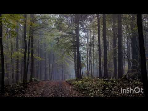 Confident of Victory CoV - Gekommen um zu bleiben 