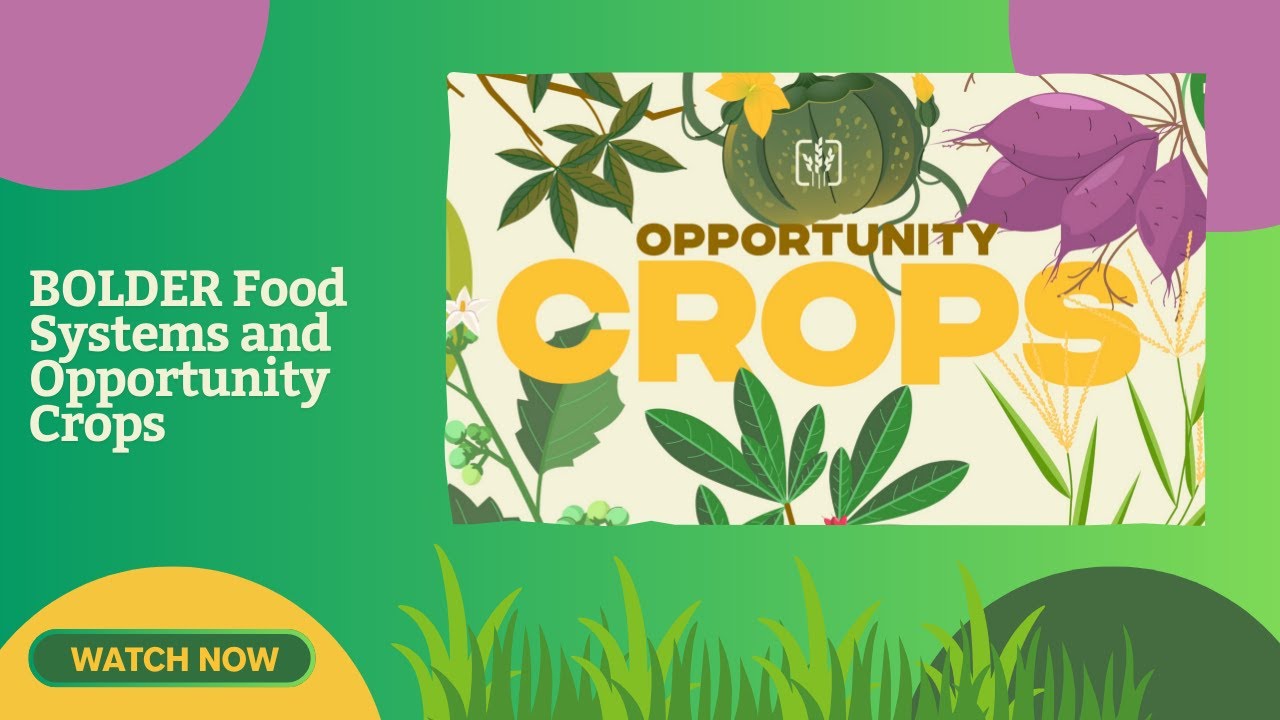 BOLDER Food Systems and Opportunity Crops
