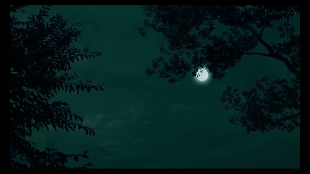 Relaxing Piano & Guitar | Moonlit Light