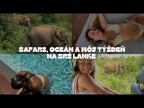 NAJKRAJŠIE ZÁŽITKY | slony, korytnačky, šport