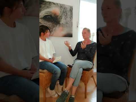 Energie-Kompetenzen unter Hunden.