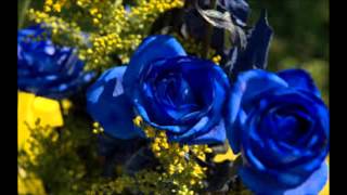 Blue Rose Is    by Pam Tillis