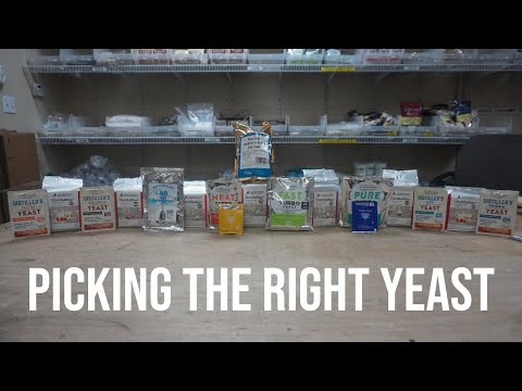 Picking The Right Yeast