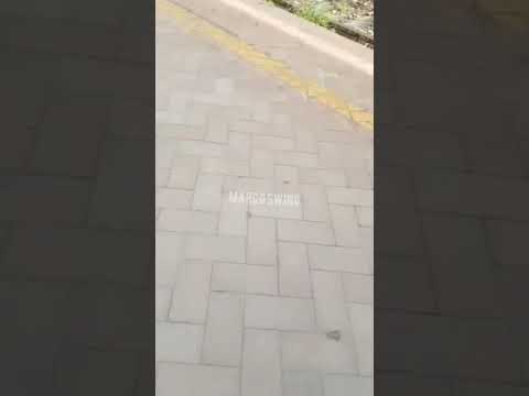 IC 562 Reggio Calabria Centrale - Taranto e IC 559 Taranto - Reggio Calabria Centrale 🌞🚄🚆