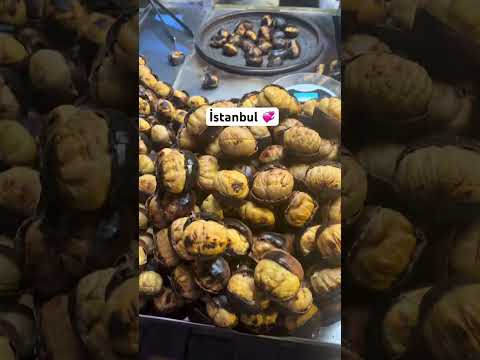 Discover #Istanbul in 15 Seconds! #türkiye #turkiye