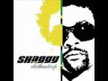 Shaggy-Can't Fight This Feeling (2009) 