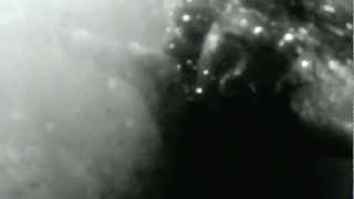 Dudu Tsuda | Lançamento do álbum Le Son Par Lui Même