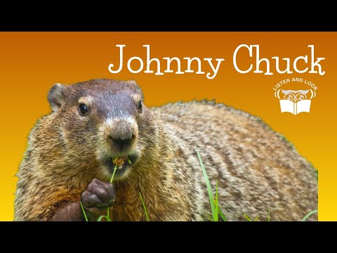 Listen and Look Burgess Animal Book Chapter 7: Johnny Chuck Joins the Class