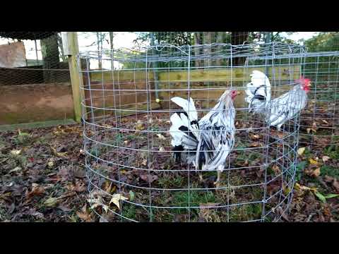 Richard Kelly-Splash mug- Coal miner mug