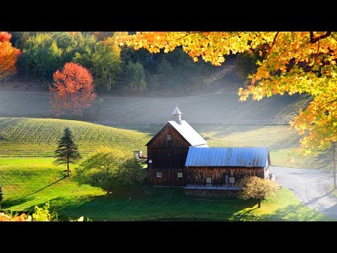 Peaceful Relaxing Instrumental Music, Meditation Calm Music "November Light" by Tim Janis