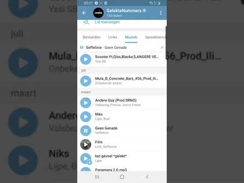 Seffelinie - Geen Genade   (Gelekt)