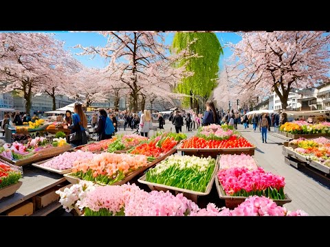 SPRING HAS ARRIVED IN ZURICH CITY SWITZERLAND_ IMPRESSIVE MORNING MARKET🇨🇭