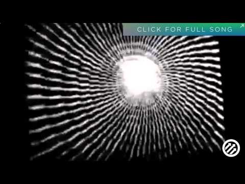 Panda Bear on Container