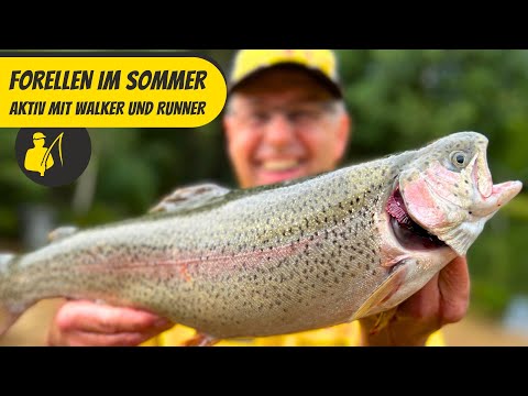 Forellen im Sommer - Aktiv mit Walker und Runner