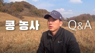 콩 농사 3만평 Q&A (콩 수확 시기? 콤바인 탈곡? 가격은?)