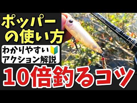 フォール・ブノワについて詳しく解説