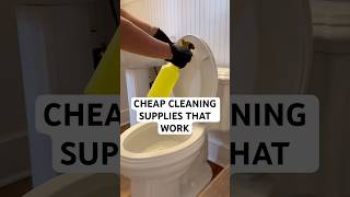 Here are a few inexpensive cleaning products I suggest from dollar tree! #dollartree #cleaningtips
