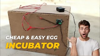 How to Make an Egg Incubator at Home with Simple Materials