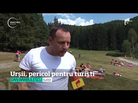 A fost iarăşi întâlnire de gradul zero între turiştii de la lacul Sfânta Ana şi urşi