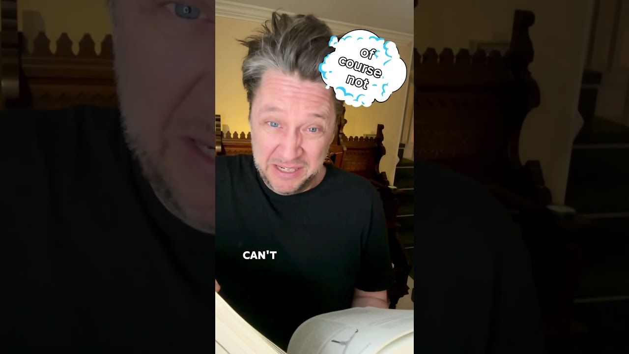 Video thumbnail: Stereosaurus, monoreverb.