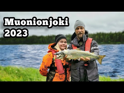 Lohen kalastusta Muonionjoella 2023